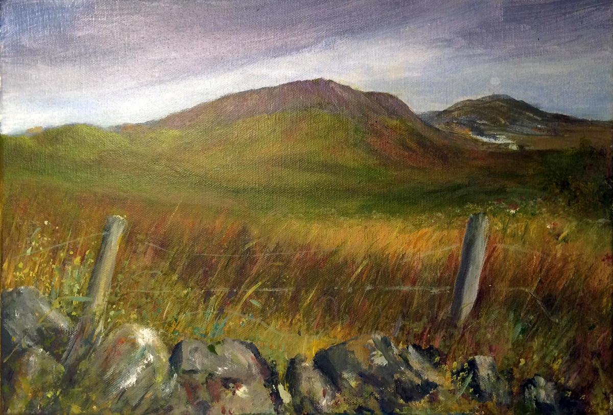 Mountain Fence by Helen Mulkerns, 2015